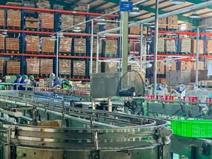 Vinut Concentrado de Agua de Coco, Bolsa de 10kg, Embalaje a Granel de Bebidas Certificado Halal por Mayor de Proveedores de Vietnam - Product Image 2