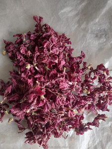ผง Hibiscus Rosa sinensis จากอินเดีย - Product Image 5