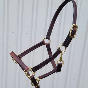 Premium Wholesale Popular Luxurious Elegant Perfect Adjustable Fashionable Padded Leather Horse <b>Halter</b> - Product Image 6