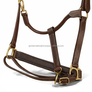 Cabestro para caballo de cuero premium marrón personalizado con doble costura y acolchado extra suave de piel de vaca, herrajes de latón ajustables. - Product Image 5