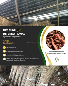 KMI Coconut <b>Broom</b> Sticks From Vietnam For <b>Broom</b> Manufacturing Bulk Quantity With Best Price - Product Image 6