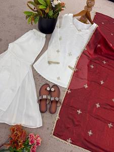 White Indian Pakistani Set Embroidered Long Sleeve Top Net Dupatta Velvet Border Festive Outfit - Product Image 5