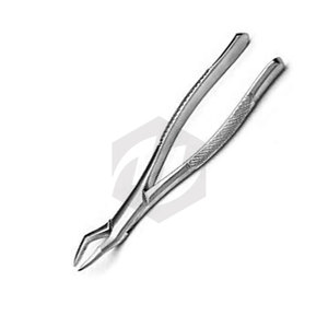 Forceps d'extraction dentaire # Pince manuelle en acier inoxydable 65 pour chirurgie buccale, extraction dentaire, durable, résistante à la corrosion, ergonomique - Product Image 2