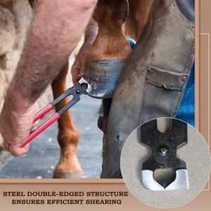 Alicates de Herrador para Cabras y Caballos, Herramientas de Reparación de Herraduras, Cortauñas de Herrador, Suministros y Herramientas para Pezuñas de Vacas - Product Image 3