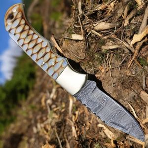 Couteaux pliants raffinés pour la chasse avec manche effet bois bleu, lame brillante et étui en cuir marron pour la chasse, le camping et la randonnée - Product Image 4