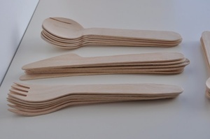 Cuillères en bois de bouleau compostables et biodégradables pour restaurants, 155 mm, vaisselle jetable moderne, lot de 50 pièces, pour mariage et fête - Product Image 1