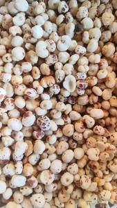 Nueces de Makhana Crudas, 3 Sutas, Tamaño Pequeño de 9 a 10 mm, Makhana India Sin Tostar - Product Image 2