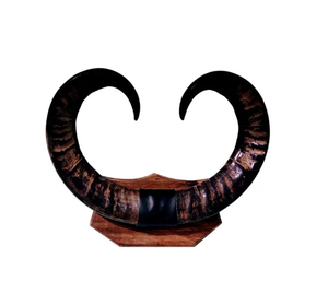 Sculpture décorative en corne de buffle, finition artisanale, écologique, durable, toutes tailles, décoration d'intérieur - Product Image 2
