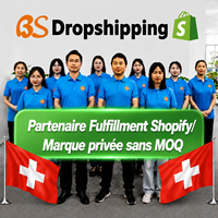 Agent de Dropshipping Shopify en Suisse |   Aucun MOQ, support de marque privée, entrepôt 3PL en Chine