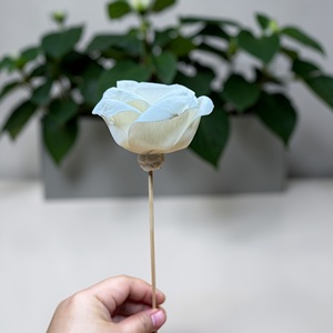 ดอกไม้ไม้โซลา VADEE SOLA WOOD FLOWER ทำมือ งานฝีมือแบบยั่งยืน ดอกกุหลาบคลาสสิก ไม้โซลา 8.5 ซม. ก้านใยพืชเซสบานียา ประเทศไทย - Product Image 4