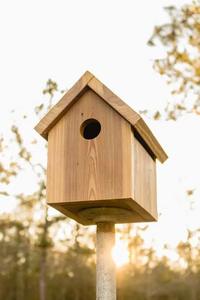 BOLS DE VOYAGE EN BOIS NATUREL ÉCOLOGIQUES LES PLUS VENDUS POUR LES OISEAUX SAUVAGES, EMPILABLES AUTOMATIQUEMENT, FABRIQUÉS AU VIETNAM À PRIX ABORDABLE - Product Image 4
