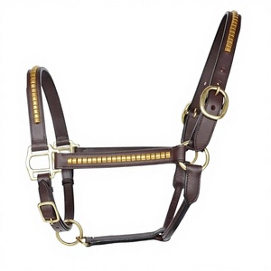 Acolchado de cuero suave con cuello Halter de caballo de sillín inglés de calidad superior con tachuelas y accesorios de latón directo del proveedor de la India - Product Image 1
