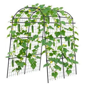 Elegante traliccio a U per cetrioli, supporto ad arco in metallo per piante rampicanti, per aiuole rialzate e giardini esterni. - Product Image 1