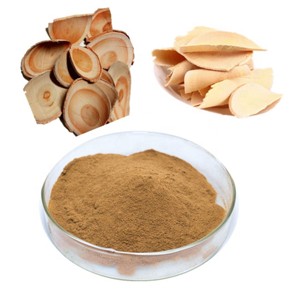 Extrait de Tongkat Ali Premium 10:1, poudre de racine d'Eurycoma Longifolia pure et finement moulue pour soutenir l'énergie, la force et l'endurance quotidiennes - Product Image 1