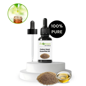 AROMAAZ Huile Essentielle de Graines de Céleri 100% Pure - Distillée à la Vapeur - Approvisionnement en Gros Direct Fabricant - Product Image 2
