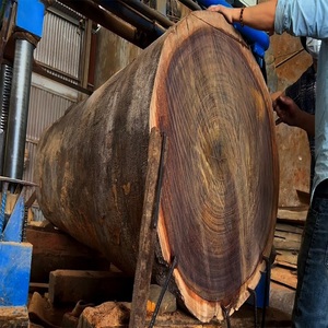 Madera de Ébano Negro Natural - Product Image 3