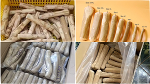 EXPAD Huong Bamboo Chew <b>Toys</b> Dogs-Eco-Friendly Durable <b>Dental</b> <b>Toy</b> Large/Small/Medium Sizes Healthy Teeth Active Play Simple Cute - Product Image 3