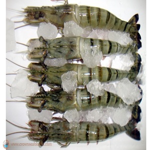 Crevettes tigrées géantes sans peau en gros, surgelées BQF, pour exportateurs, 1 kg, durée de conservation 24 mois - Product Image 2