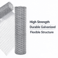 Grillage hexagonal galvanisé à chaud pour volailles, clôture de jardin, grillage pour animaux et lapins, maille de 1 pouce (50 mm)