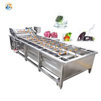 Hogedruk Industriële Champignondadels Wasmachine Cassave Zoete Aardappel Ananas Waslijn Kersenpeper Appel Reinigingsmachine