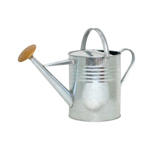 Arrosoir décoratif personnalisé avec long bec pour le jardinage intérieur et extérieur - Product Image 4
