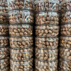 Nueces de cachorro vietnamitas de grado A W240, premium, con documentación completa de exportación, origen Vietnam - Product Image 1