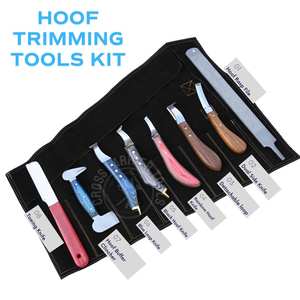 เครื่องมือตัดแต่งกีบม้า ยี่ห้อ Manufacturer รุ่น Farrier Hoof Knife ด้ามจับถอดได้ ใบมีดวงกลมขนาดใหญ่ ปลายทองเหลืองสีรุ้งสองด้าน พร้อมตะไบขัด - Product Image 3