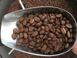 เมล็ดกาแฟโรบัสต้าคั่วในเวียดนาม รสชาติเข้มข้น รับผลิตแบรนด์ส่วนตัว ขายส่ง OEM/ODM - Product Image 5