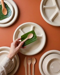 Assiette ronde jetable en bagasse blanche de 11 pouces, 4 compartiments, compostable, en canne à sucre, écologique, pour dîner - Product Image 5