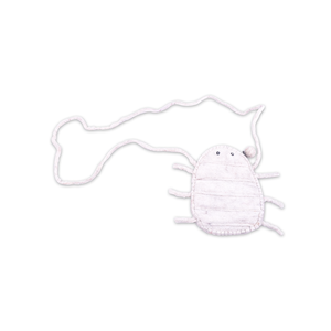 Handmade Octopus Stripe Wool <b>Felt</b> Bag Themed Toys for Kids From Nepal - Product Image 2