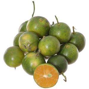 ผลไม้รสส้มคาลามันซีเขียวสดจากเวียดนามสำหรับดื่มชาดีท็อกซ์ผลไม้ Kumquat บรรจุเป็นกลุ่มสำหรับอาหาร - Product Image 1