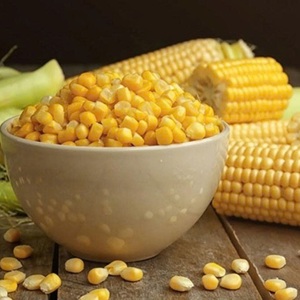 Maíz Dulce Amarillo Congelado de Vietnam, Maíz Dulce Congelado IQF a Granel - Product Image 1