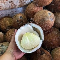 Vietnam Origine Semi-Gepelde Kokosnoot Boerderijvers Nieuwe Betrouwbare Exporteur Premium Kwaliteit Rijpe Tropische Vrucht Groothandelslevering