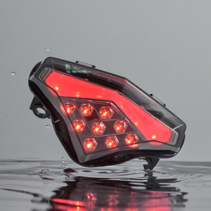 Luz Trasera LED para Motocicleta Ninja 650 ER-6N ER-6F, Lente Integrada Ahumada, Luz de Freno y Direccional - Product Image 6
