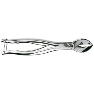 Gips & Hard <b>Plaster</b> Pliers, Length 195 mm with Spring and Lock Dental Laboratory Dental Lab Instrument for Precision <b>Plaster</b> - Product Image 3