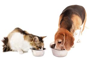 Compléments Alimentaires pour Animaux - Minéraux et Oligo-éléments de Qualité Alimentaire pour une Croissance Saine - Product Image 5
