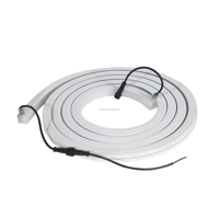 Bande lumineuse LED flexible 10W DC12V pour piscine, étanche IP68, RGBW, gaine en silicone, résistante aux intempéries, découpable, surface en dôme