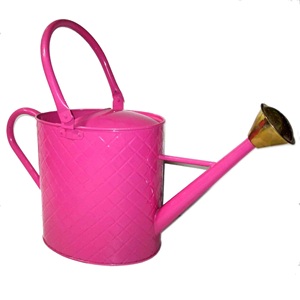 <b>Top</b> Arrival Rustic Finished Antique Metal Watering Can <b>High</b> Quality Outdoor Garden Decor Metal Watering Can Customized Size - Product Image 6