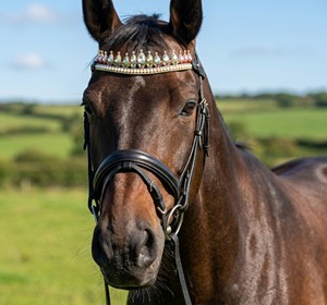 Fronture de Cheval de Luxe en Cristal et Perles – Accessoire d'Équestre Fait Main avec Strass pour Spectacles et Compétitions - Product Image 1