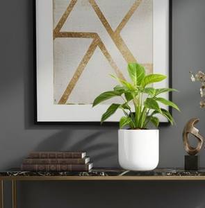 Decoración de Mesa, Elegante Maceta Pequeña para Interiores, Macetero Decorativo de Metal, Ideal para el Hogar, la Oficina y Regalos - Product Image 6