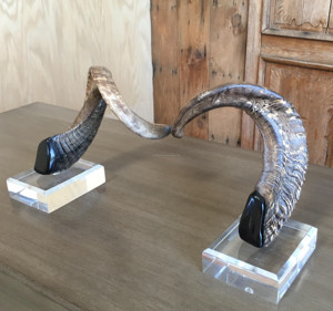 Cuerno de carnero decorativo Shofar Color Natural Base acrílica de alta calidad para decoración del hogar Artesanía Cuerno de carnero natural Cuerno de oveja - Product Image 4