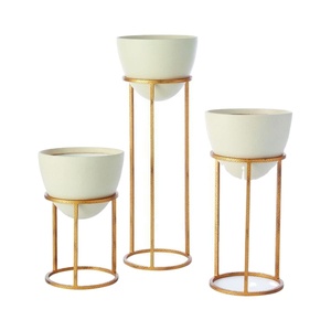 Colección Compassion, maceta pequeña de mesa de hierro para el hogar, balcón, jardín, decoración, soporte de alambre recubierto de polvo, macetas, Material de macetas - Product Image 4