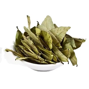 Thé en sachet de feuilles de corossol premium, fabriqué à partir de feuilles soigneusement sélectionnées, emballées dans des sachets filtrants biodégradables pour une infusion d'herbes propre et douce. - Product Image 3