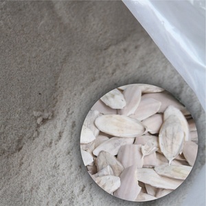 Polvo de Hueso de Sepia Seco de Alta Calidad |   Suplemento de Calcio Natural para Aves y Reptiles - Product Image 1