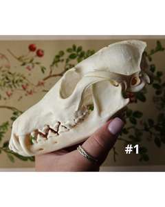 Tradebyd Creative Resin Animal Sculpted Figurine Unique Decorative Handmade <b>Statue</b> for Stylish Homes and Gifting - Product Image 1
