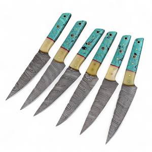 ชุดมีดสเต็กทำมือเกรดอุตสาหกรรม DIY เหล็กดามัสกัสสำหรับมืออาชีพ ชุดมีดสำหรับรับประทานอาหารกลางแจ้ง บาร์บีคิว มีดปอกผลไม้ OEM UA - Product Image 1