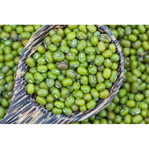 Haricots Mungo Frais de Nouvelle Récolte – Gramme Vert de Saison avec un Goût et une Couleur Exceptionnels - Product Image 6