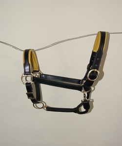 Cabestro de Cuero Marrón para Caballo con Narquera Acolchada, Collar Ajustable, Herrajes de Latón Sólido para Entrenamiento de Equitación, Kanpur, India - Product Image 3