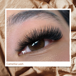 NESSLASH Handmade Faux Mink Camellia 3D 5D 10D Crisscross <b>Feather</b> Eyelash Extensions Easy to Fan Custom Logo Wholesale - Product Image 6