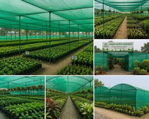 ตาข่ายบังแดดสำหรับการเกษตร HDPE ป้องกันรังสียูวี  แบบถัก รูปทรงสี่เหลี่ยมผืนผ้า สำหรับโรงเรือน สวน และลานบ้าน - Product Image 3